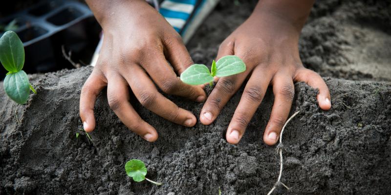 https://www.habitat.org/sites/default/files/2020-06/Planting-hero-crop.jpg