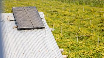 Solar panels on a roof with a lush green background.