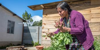 Homeowner garden Guatemala