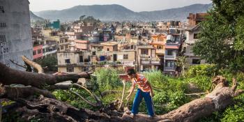 Photo: a boy balancing on a tree, slum area in the background