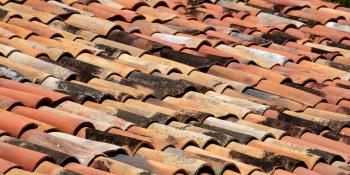 Roof tiles.