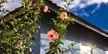 A blue house with pink flowers in front of it.