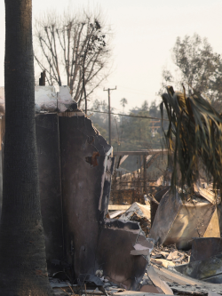 Remnants of homes and trees burnt by Northern California wildfires in anuary 2025.