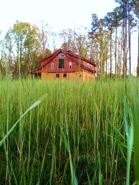 unique Habitat house 1