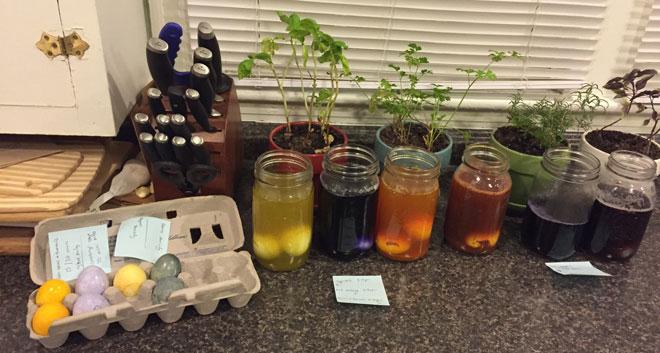 Multiple jars with various colored liquid, a crate of eggs, and sticky notes on a table.